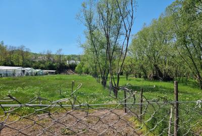 Teren Construcții intravilan de 1809 mp, în Moțăieni - 4