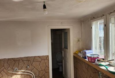 Casă individuală cu 3 camere cu Canalizare în Brătianu - 14