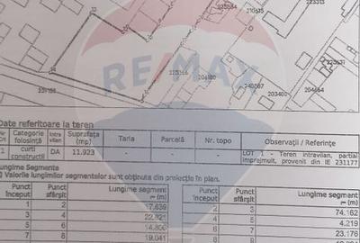 Teren constructii, 11923 mp, Soseaua Garii Catelu - 2