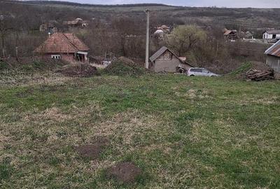 Teren de 1740 mp, în Feldioara - 4