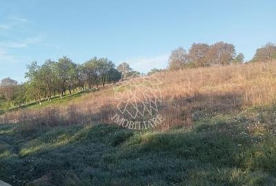 Teren de 10000 mp, în Aluniș - 6