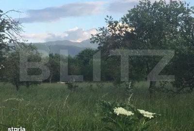 Spațiu comercial, în Central