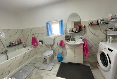 Casă cu 2 camere în Săbișa