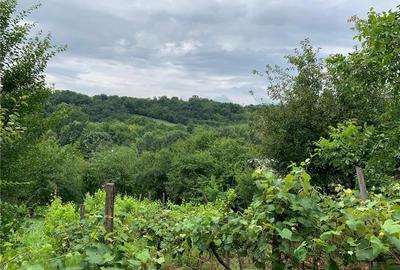 Casă cu 2 camere în Vârvor - 5