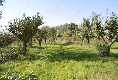 Calinesti - Gorganu, casa cu 2 intrari, teren 2496 mp - 7