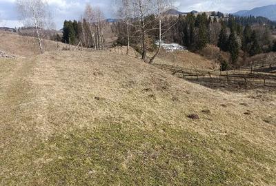 Teren de 3200 mp, în Dâmbovicioara - 2