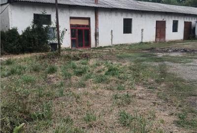 RECO Hale predestinate prelucrarea lemnului, loc. Auseu, sat - 4