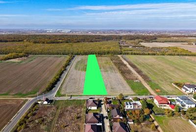 Dragomiresti Deal teren 6700 mp, padurea Ileana, utilitati, asfalt - 2