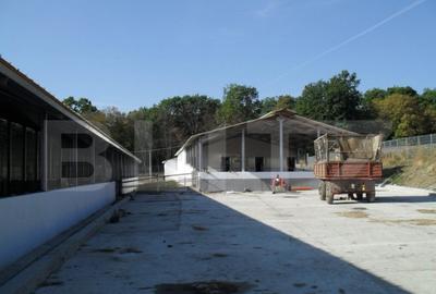 Spațiu comercial, de 3,000 mp, în Dej - 3