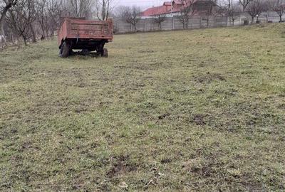 Spațiu comercial, de 3,600 mp, în Șura Mare - 2