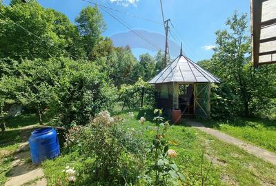 Casa de la marginea padurii! - 28