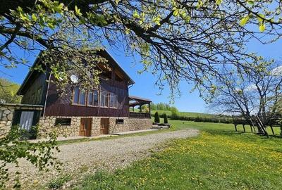 Pensiune in jud. Buzau, loc Ivanetu| Constructie lemn|Pozitionare impresionanta - 11