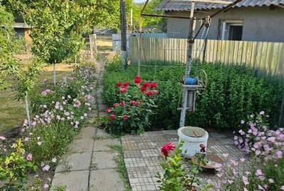 Casă cu 4 camere cu Teren 96 Mp în Oancea - 6