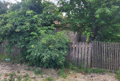 Casă cu 2 camere cu Teren 2635 Mp în Dragalina - 2