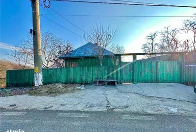 Casă cu 3 camere cu Teren 6856 Mp în Dumitrești - 2