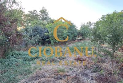 Teren cu casa batraneasca de vanzare in comuna Jugureni judet Prahova - 13