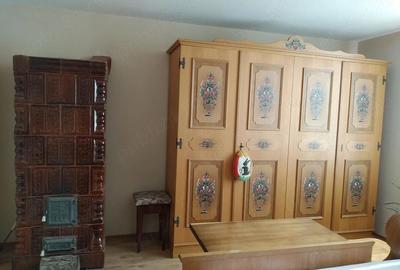 Casă cu 6 camere cu Teren 3000 Mp în Mănăștiur - 9