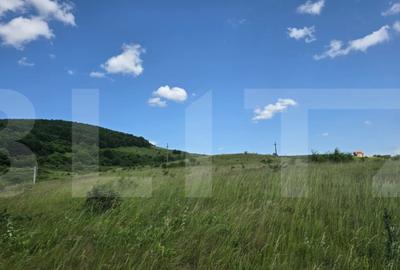 Teren de investitie in localitatea Ciurila - 2