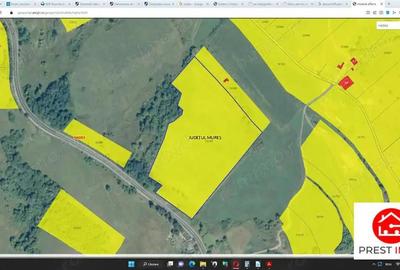 Teren agricol 4.2 ha Nades-Mures 2 euro mp - 3