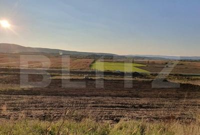 Teren de 28800MP(2.8ha). Pregatit pentru investitie! - 3