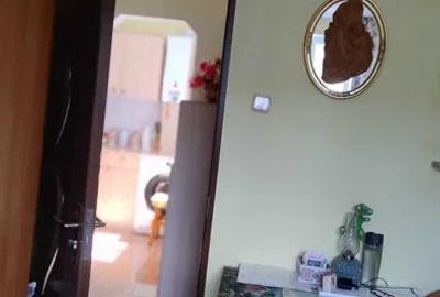 Apartament 3 camere Noua - 7