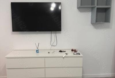 Colentina teiul doamnei metrou obor - 7