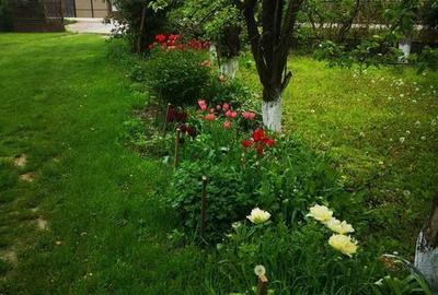 Casă cu 3 camere cu Teren 127 Mp în Puchenii Mari - 7