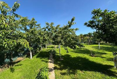 Casă cu 4 camere în Lupăria - 3