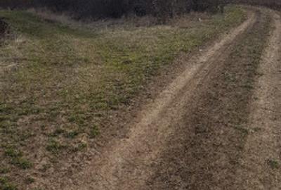 Teren de 3370 mp, în Moșoaia - 4