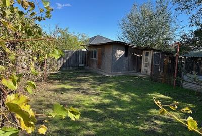 Dridu, judetul Ialomita - 5