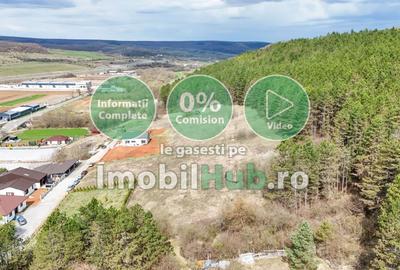 Teren Construcții intravilan de 10130 mp, în Vlaha - 3