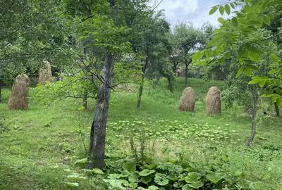 Casa ?i teren de vanzare - 2