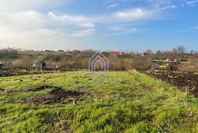 Teren de 4872 mp, în Antoceni - 8