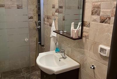 Apartament cu 2 camere semidecomandat în Tomis Plus - 2