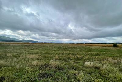 Teren industrial pretabil hala P.U.Z aprobat! Teren industrial pretabil hala P.U.Z aprobat! - 2