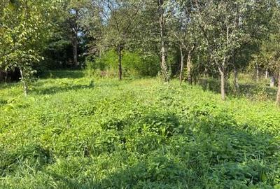 Casă cu 3 camere cu Teren 90 Mp în Loamneș - 3