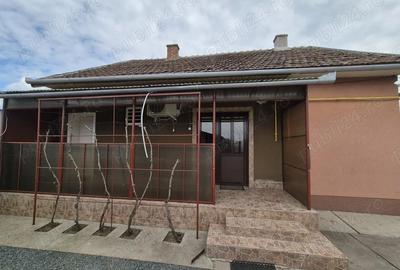 Casă cu Teren 1400 Mp în Macea - 7