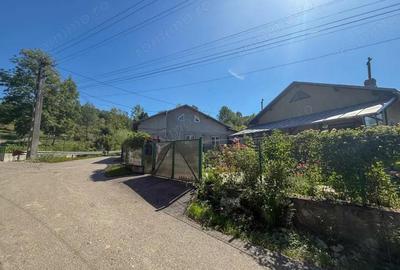 Casa de vacanta sau rezidenta in Adunati, buget redus - 3
