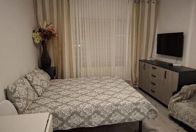 Garsonieră nedecomandată în Orizont - 1