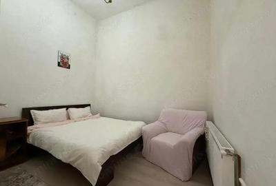 Apartament 2 camere, 45 mp utili, cladire istorica in zona centrala OCAZIE !!! - 3