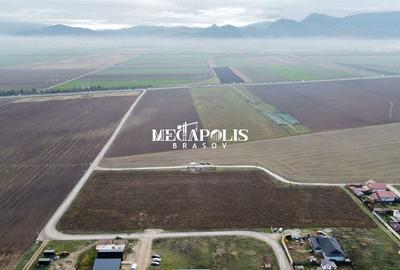 Vinzare TEREN HARMAN 20.754mp  pentru construcție - 2