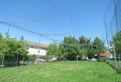 De vanzare casa mare P+M cu anexe in Beius - 9