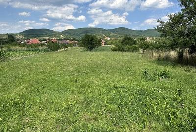 Vand Casa Batarci - 5