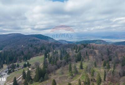 Teren de 1872 mp, în Central