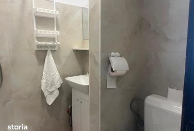 Garsonieră decomandată în Podu Roș - 4