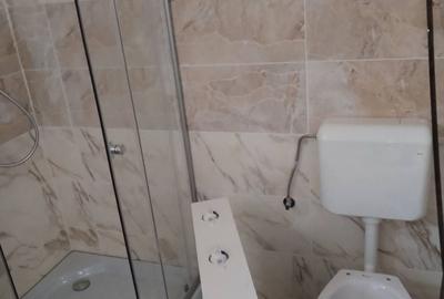 Casă cu 3 camere în Biharia - 1