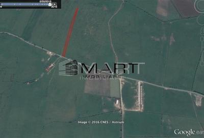 Teren intravilan 10.000mp la drum Calea Surii Mici - 3