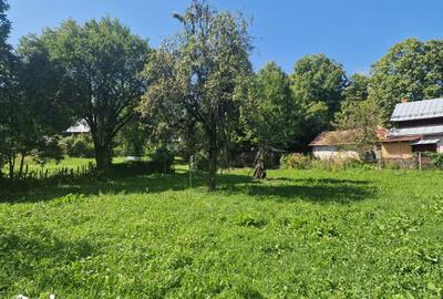 Teren de 2350 mp, în Ghioșești - 5