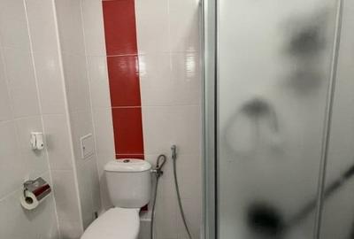Apartament cu 3 camere semidecomandat în Theodor Pallady - 9