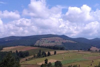 Teren de 2922 mp, în Bubești - 3